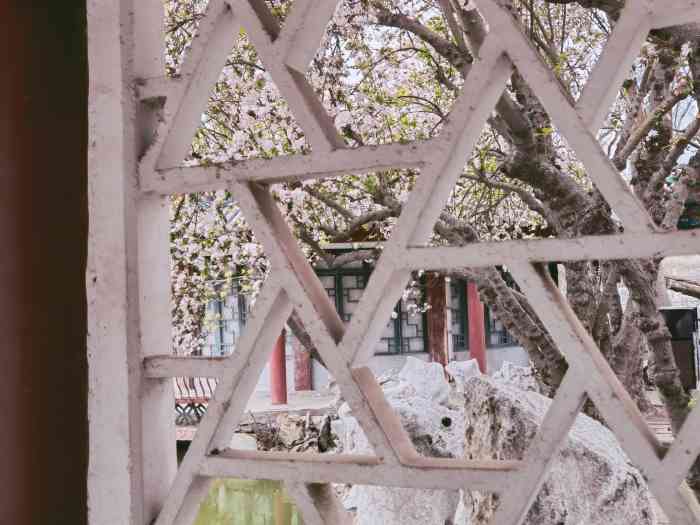 人民公园-"位于天津市河西区的「人民公园」,该景区周.