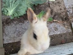 -美家乐农庄·露营·团建(大治路店)