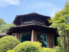 -龙井草堂