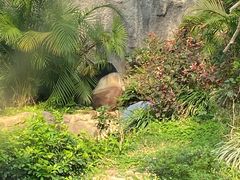 -石排湾郊野公园