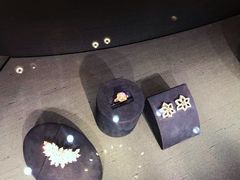 -Harry Winston 海瑞温斯顿