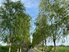 -永定河休闲森林公园