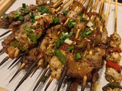 -山野的朋友露营炭火烤肉