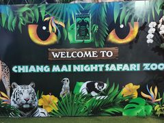 -清迈夜间动物园