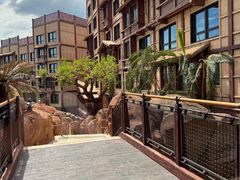 -云龙轩(迪士尼探索家度假酒店)