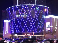 -鹏欣水游城