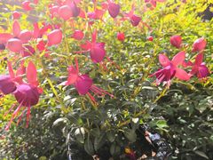 -西安化觉巷清真大寺