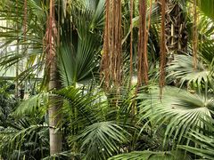 -国家植物园南园