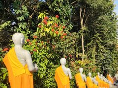 -西双版纳勐泐文化旅游区