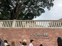-八卦楼风琴博物馆