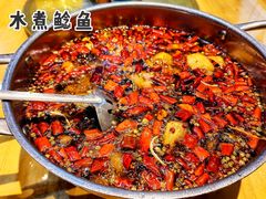 水煮鲶鱼-望京一号·重庆江湖菜(工体店)