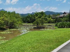 -中国科学院西双版纳热带植物园