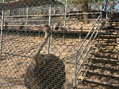 -北京鹿世界主题园