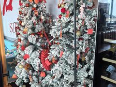 -顽啤熊·酒客酒馆(苏城夜景必选店)