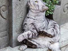 -龙华寺