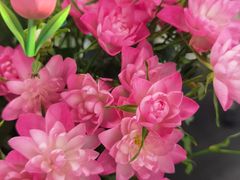 -迦南(杭州东站万象汇店)