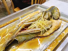 清蒸大黄鱼-北戴河庆山饭店·海鲜砂锅粥(北戴河黑石路店)
