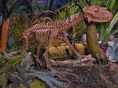 -正佳自然科学博物馆