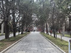 -西安碑林博物馆
