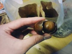 -秋栗香(地安门店)