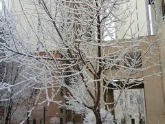 -川人百味·水煮活鱼(赛罕万达店)