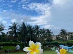 -三亚亚龙湾天域度假酒店