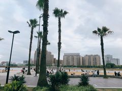 -金沙湖公园