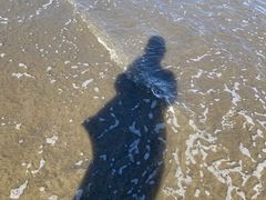 -东海半边山旅游度假区