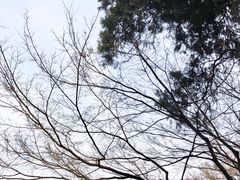 -首尔市立美术馆