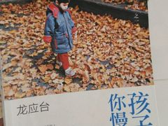 -新华书店(泉城路店)
