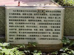 -马王堆汉墓遗址