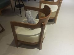 -藏猫猫咖啡主题馆(中央大道店)