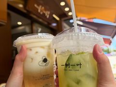 -一树一叶·福建茶档(石鼓路店)