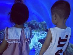 -成都浩海立方海洋公园