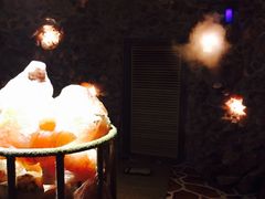 -御池园(顾村公园店)