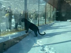 -新疆天山野生动物园