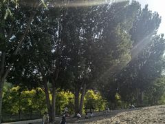 -东郊湿地公园