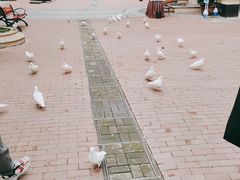 -王府井奥莱临潼小镇(临潼店)