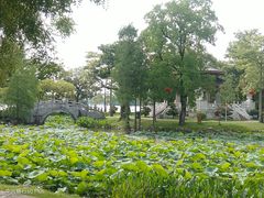 -惠州西湖风景名胜区-丰渚园