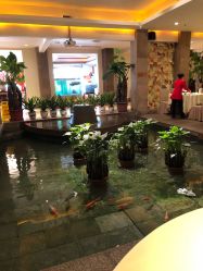 -惠食佳·宴会厅(滨江西路店)