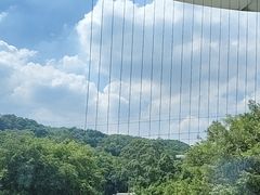 -点都德(广州白云山景区南门店)