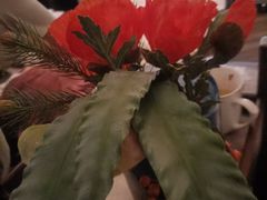 -和子足浴SPA会馆(东方之门店)