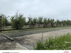 -长兴对江渡客运站