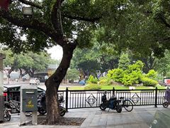 -东江海鲜酒家(艺都分店)