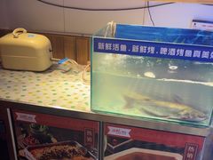 -后院烤吧·木炭烧烤·烤鱼·云贵川火锅(忻州古城店)
