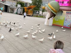 -南昌之星摩天轮