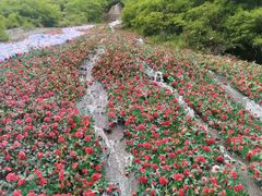 -方城县七峰山生态旅游区