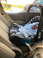 -海豚湾高端月子会所(黄浦店)