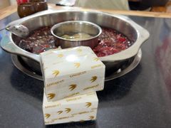 -肥龙火锅(南坪店)