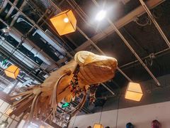 -一井烧肉·活鳗·寿司(望京SOHO店)